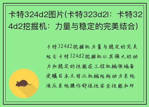 卡特324d2图片(卡特323d2l：卡特324d2挖掘机：力量与稳定的完美结合)