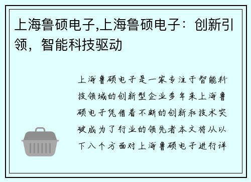 上海鲁硕电子,上海鲁硕电子：创新引领，智能科技驱动